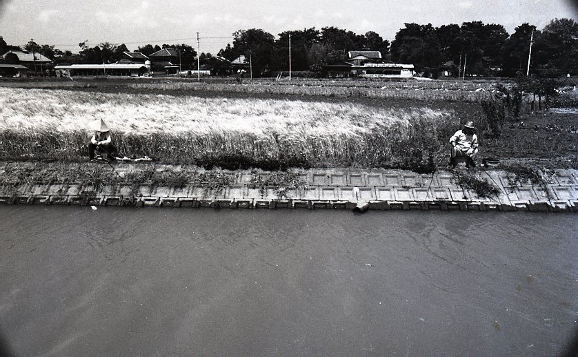 1974 安藤川のつり風景007.jpg